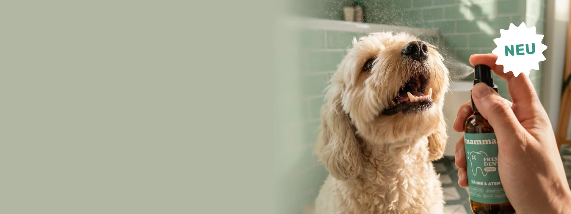 Gesunde Hunde, glückliches Leben